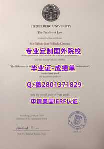 420海德堡大学