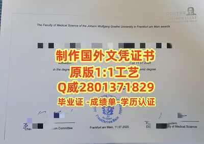 434法兰克福大学