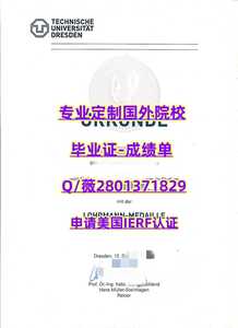 435德累斯顿工业