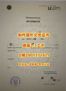 437乌尔姆大学