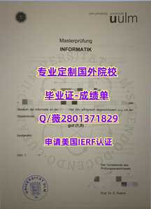 437乌尔姆大学