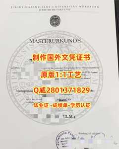 446维尔茨堡大学