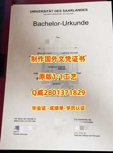 453萨尔大学