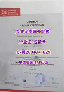 457布伦瑞克工业大学
