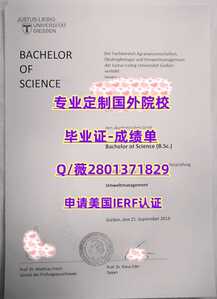 459吉森大学
