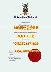 479联邦大学