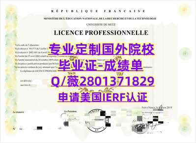 517洛林大学
