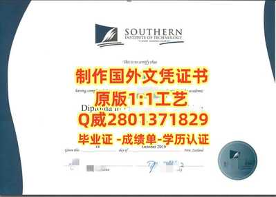 536新西兰南方理工学院 副本