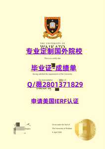538新西兰怀卡托大学 副本