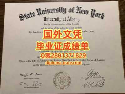 12奥尔巴尼大学