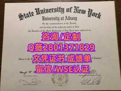 12奥尔巴尼大学