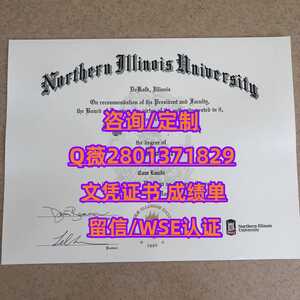 15北伊利诺伊大学