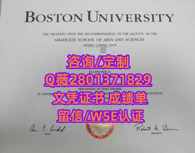 20波士顿大学 