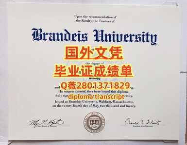 21布兰迪斯大学