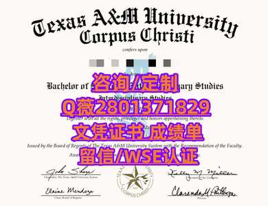 27德克萨斯A&M大学
