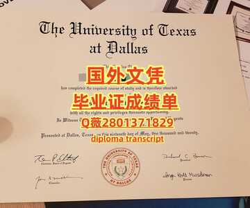 28德克萨斯大学达拉斯分校 (2)