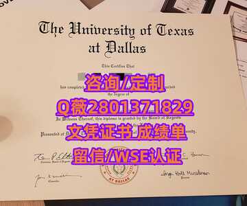28德克萨斯大学达拉斯分校 (2)