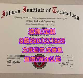 46伊利诺伊理工学院 副本