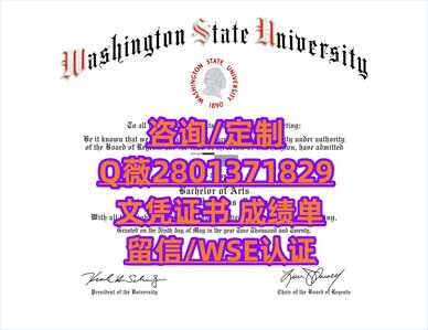 48华盛顿州立大学