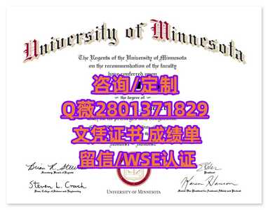 82明尼苏达大学罗切斯特分校