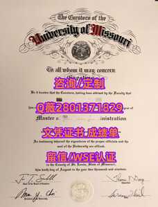 90密苏里大学
