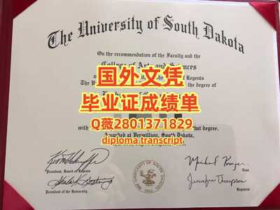 99南达科他大学