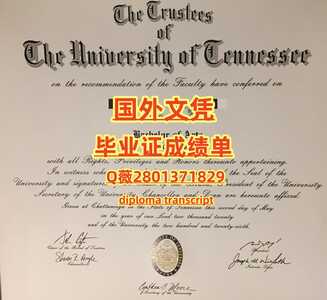 126田纳西大学