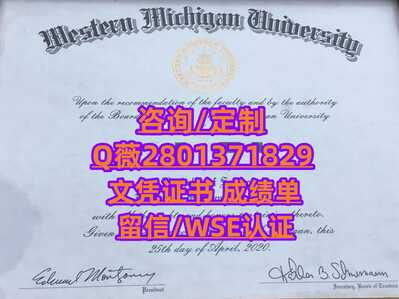 133西密歇根大学