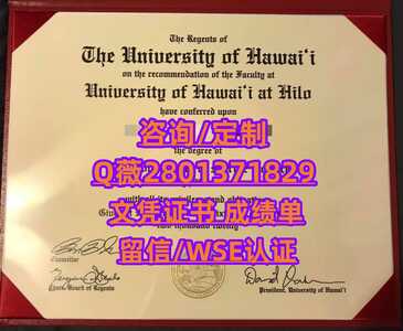 135夏威夷大学