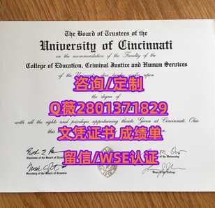 137辛辛那提大学