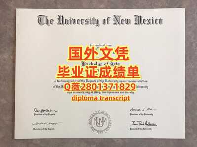 139新墨西哥大学