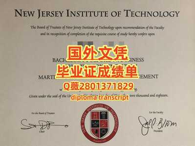 141新泽西理工学院