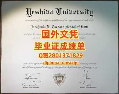 146耶什华大学