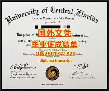 153中佛罗里达大学