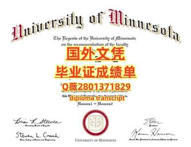 175明尼苏达大学杜鲁斯分校