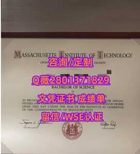 181麻省理工