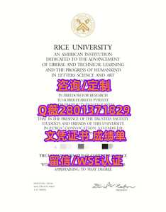 194莱斯大学