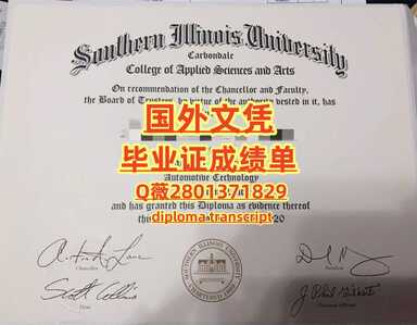 198南伊利诺伊州大学