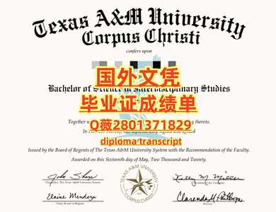 199德州农工大学