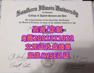 198南伊利诺伊州大学