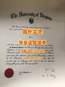 208弗吉尼亚大学