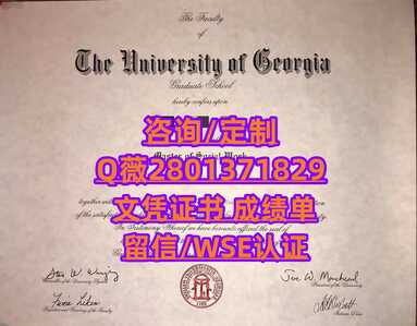 210佐治亚大学