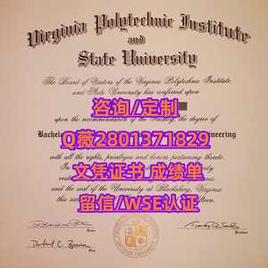 212弗吉尼亚理工大学