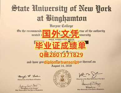 214宾汉姆顿大学