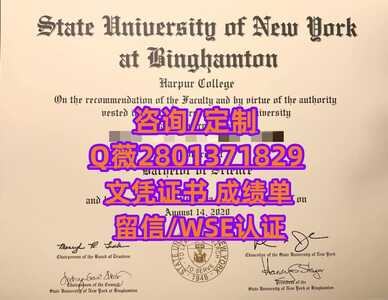 214宾汉姆顿大学