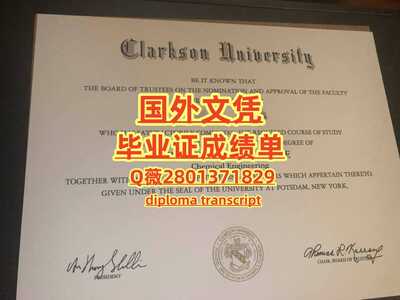 220克拉克森大学
