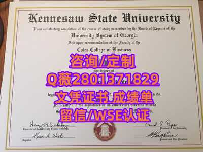 224肯尼索州立大学