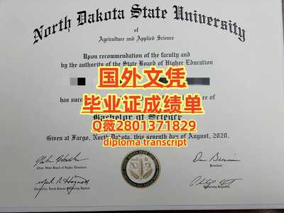 229北达科他州立大学
