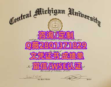 234中央密西根大学