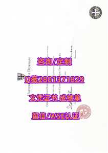 243杜伦大学